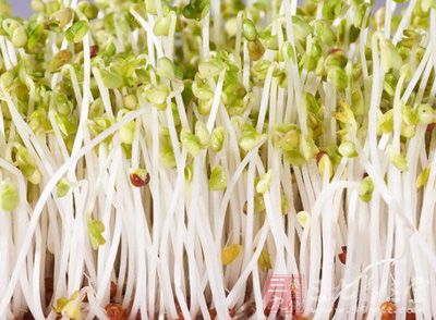 绿豆芽味道鲜美,是滋养润燥、清热解毒的好选择 绿豆芽味道鲜美,是滋养润燥、清热解毒的好选择