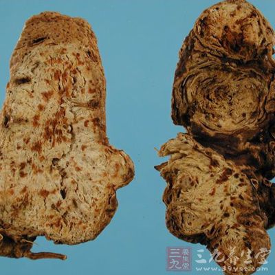 蒼術(shù)揮發(fā)油、茅術(shù)醇、β-桉葉醇l00mg/ml在體外對食管癌細(xì)胞有抑制作用