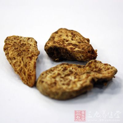 苍术用于风湿性关节炎属风寒湿痹者