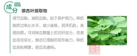 成分三 银杏叶提取物 成分三 银杏叶提取物