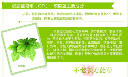 绞股蓝以预防心血管疾病,调节免疫力、增强体质三种功效为显著 7