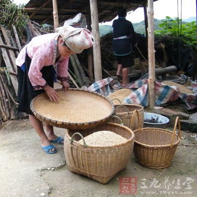 共嫂挨砻共嫂筛，给嫂掖糠满头台