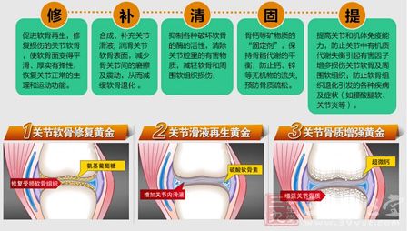 关节软骨修复黄金