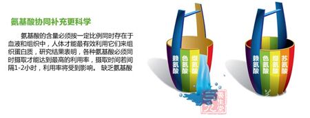 氨基酸协同补充更科学 氨基酸协同补充更科学