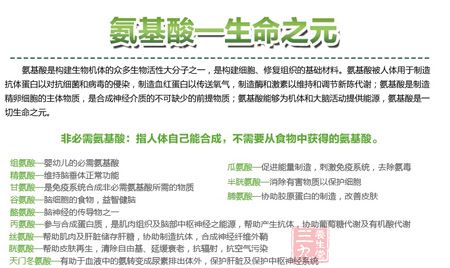 氨基酸——生命之元 氨基酸——生命之元