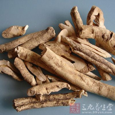 除時(shí)氣頭痛，客熱五勞，勞氣頭腰痛，風(fēng)噤，癲疾