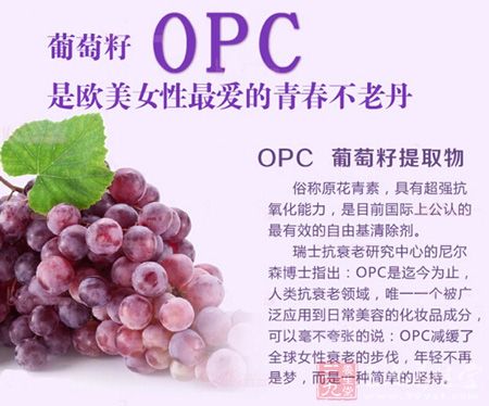 葡萄籽OPC是欧美女性爱的青春不老丹 葡萄籽OPC是欧美女性爱的青春不老丹