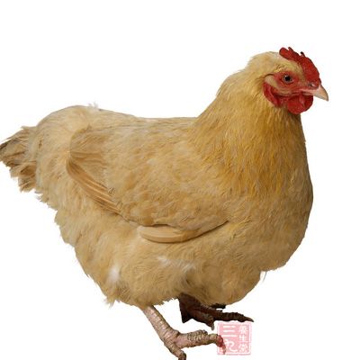 小寒养生推荐四款滋补菜肴 小寒养生推荐四款滋补菜肴