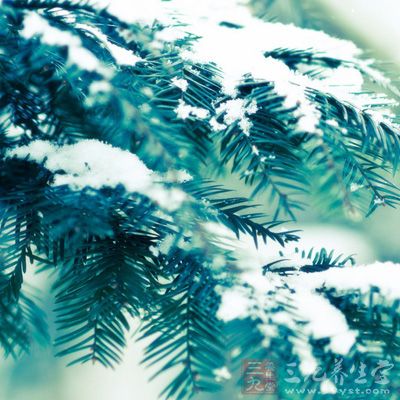 冬至养生之法 冬至养生之法