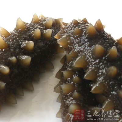 枸杞海参猪肉饼