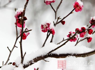 “冬藏”需要下功夫