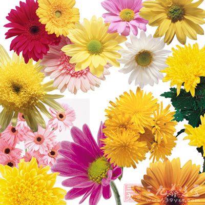 寒露与重阳节接近，此时菊花盛开，为除秋燥，某些地区有饮“菊花酒”的习俗