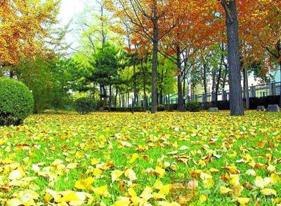 秋分之际如何养生 秋分之际如何养生