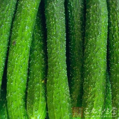 “减秋膘”吃黄瓜