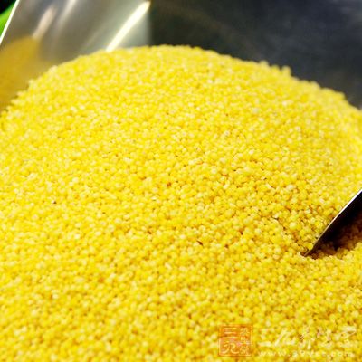 小米是佳补品 小米是佳补品