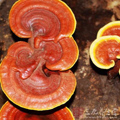 灵芝多糖能显箸促进细胞核内DNA合成能力 灵芝多糖能显箸促进细胞核内DNA合成能力