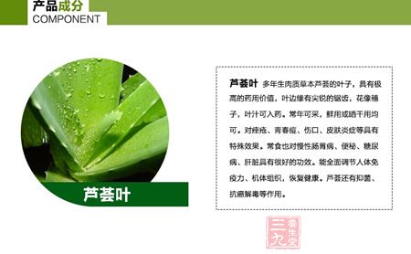 多年生肉质草本芦荟的叶子，具有极高的药用价值