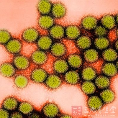 轮状玉米来袭致排骨去火妈妈可腹泻摩腹病毒宝宝试试吗图片