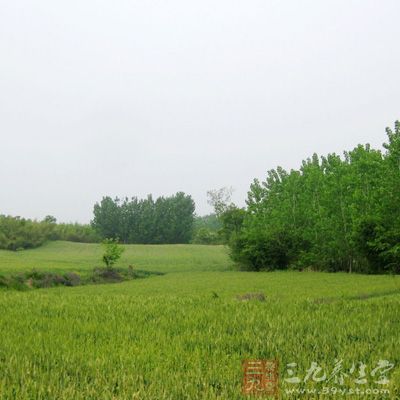 立夏时节,各种各样的养生保健问题就会出现 立夏时节,各种各样的养生保健问题就会出现