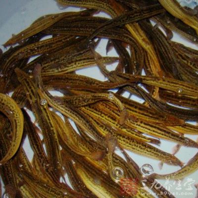 药膳可选择三豆鳅鱼汤 药膳可选择三豆鳅鱼汤