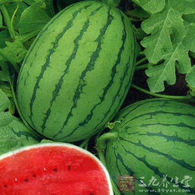 人们一定要吃些西瓜