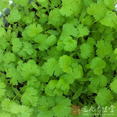 立春宜吃的“升发”食物列举