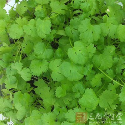 香菜的功效与作用