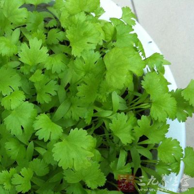 香菜还有降血压的作用