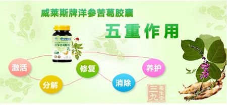威莱斯牌洋参苦葛胶囊五重作用 威莱斯牌洋参苦葛胶囊五重作用