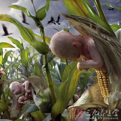 中央一号文件九年六次提转基因