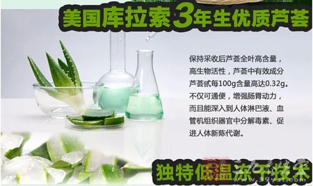 美国库拉索3年生优质芦荟 美国库拉索3年生优质芦荟