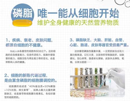 磷脂缺乏,大脑、肝脏、血管、心脏、肠道、皮肤等器官受损严重 3