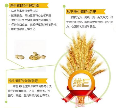 维生素E的生理功能 维生素E的生理功能