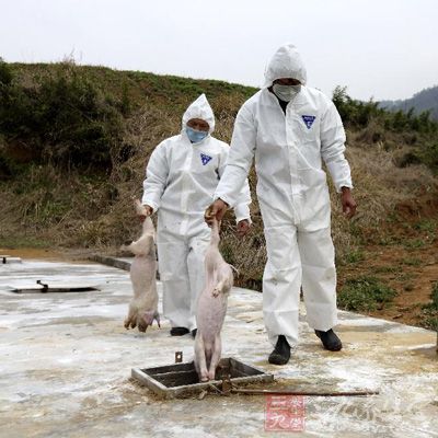 关于建立病死畜禽无害化处理机制的通知