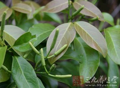 米藤(《广西药植名录》),脱节藤,竹节藤(广州部队《常用中草药手册》)