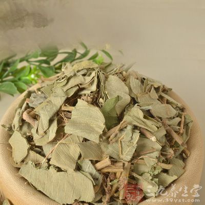 治白虎丹：鲜车前草，遍地香。洗净捣烂，少加白酒，绞取汁，鹅毛蘸搽患处