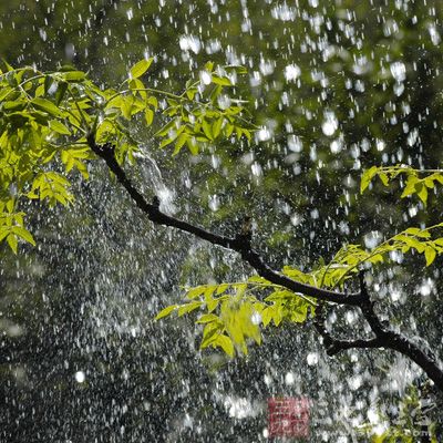 雨水节气 雨水节气如何科学养生