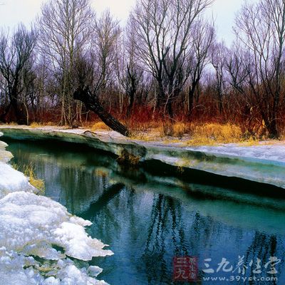 雨水节气期间，华南地区是春意盎然，百花盛开