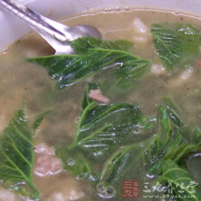 配方:桑叶3~6克 配方:桑叶3~6克