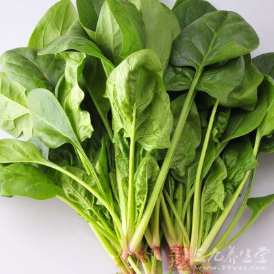 具有改善视力作用的食物 具有改善视力作用的食物