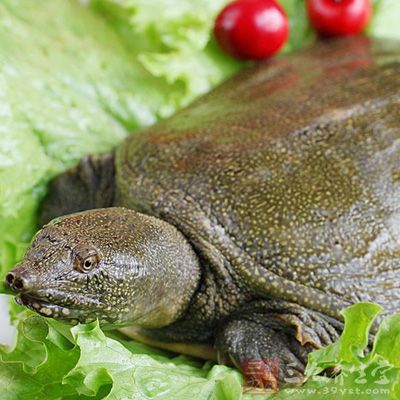 党参淮山花胶炖水鱼