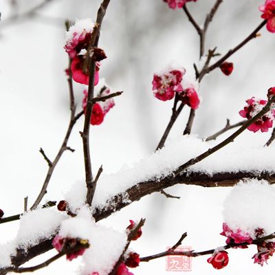 “冬藏”需要下功夫