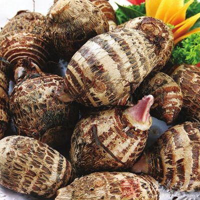 姜汁入饭益气和胃 姜汁入饭益气和胃