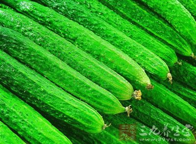 黄瓜——清热促代谢 黄瓜——清热促代谢