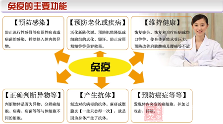 判断物体是否为异物。分辨癌细胞、病毒、细菌等等与体细胞不同的细胞 4