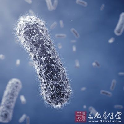 适合细菌、病毒等病源微生物的繁殖和传播