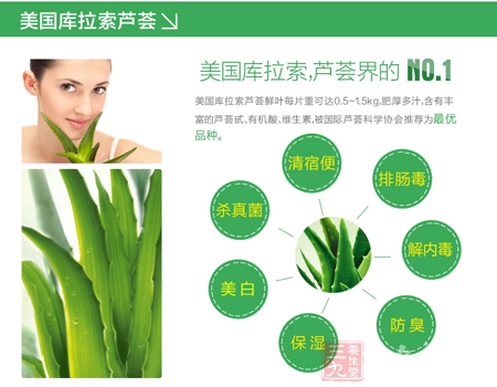 美国库拉索芦荟鲜叶每片重可达0.5g~1.5kg 7