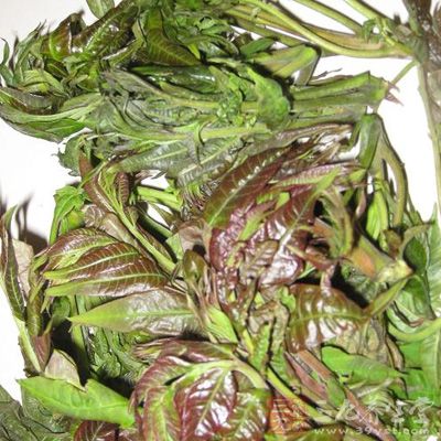 春天里所有的植物都生发出鲜绿的嫩芽,可以食用的春芽有很多 春天里所有的植物都生发出鲜绿的嫩芽,可以食用的春芽有很多