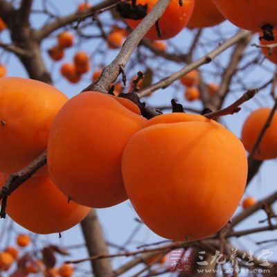 干柿子适量 干柿子适量