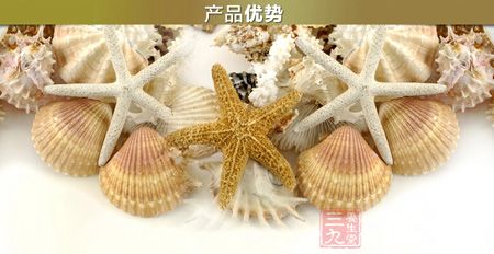 产品优势 产品优势